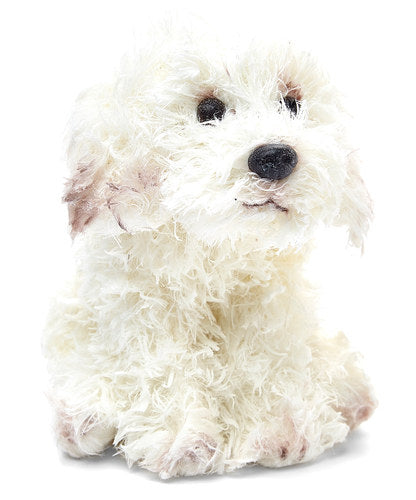 Bichon Frise - Warm Vanilla