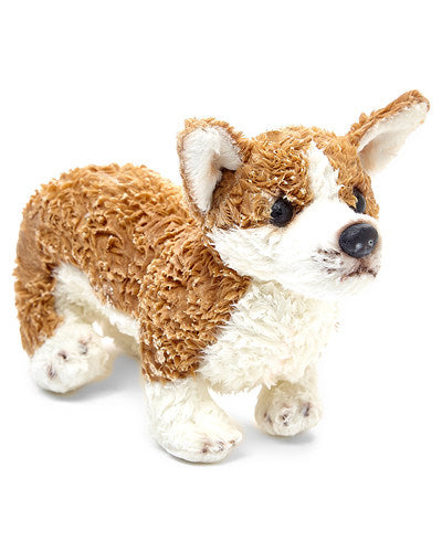 Corgi - Butterscotch Candy